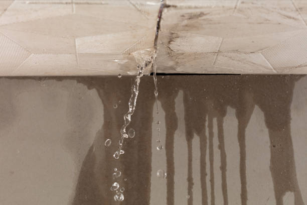 Professional Flood Damage Cleanup technician working in Carlton, MN